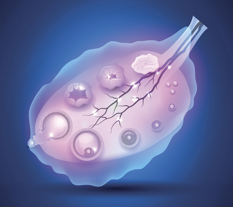 马来西亚三代试管婴儿私立医院可靠吗？附生费用明细
